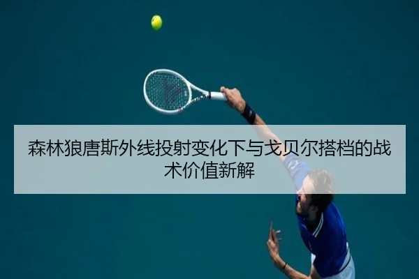 森林狼唐斯外线投射变化下与戈贝尔搭档的战术价值新解