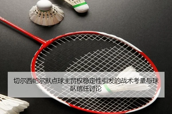 切尔西帕尔默点球主罚权稳定性引发的战术考量与球队信任讨论